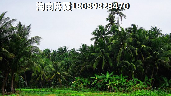 沁芳盛世1室2厅1厨1卫建面59.59㎡