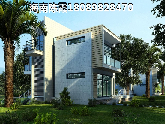 陶清河泮证照
